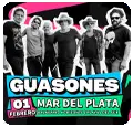 GUASONES_120x115