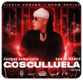 logo_cosculluela