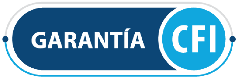 logo_CFI