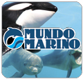 mundo marino